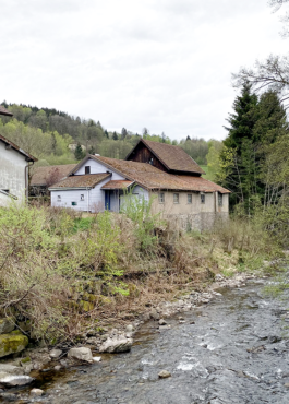 GAR_Thumbsnail Studio Mire