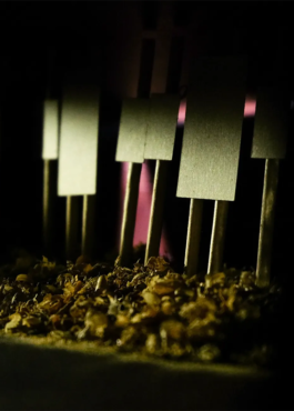 PAL_Thumbsnail Studio Mire